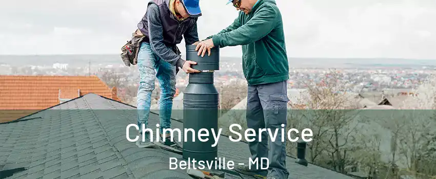  Chimney Service Beltsville - MD