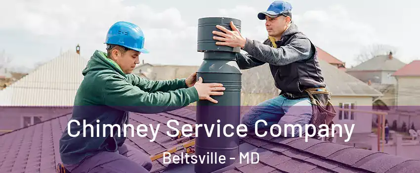  Chimney Service Company Beltsville - MD