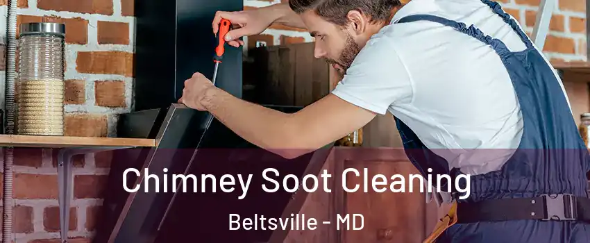  Chimney Soot Cleaning Beltsville - MD