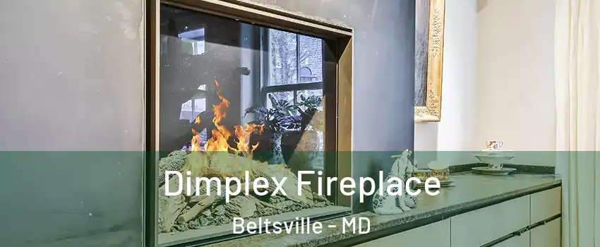  Dimplex Fireplace Beltsville - MD
