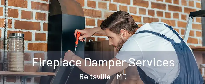  Fireplace Damper Services Beltsville - MD