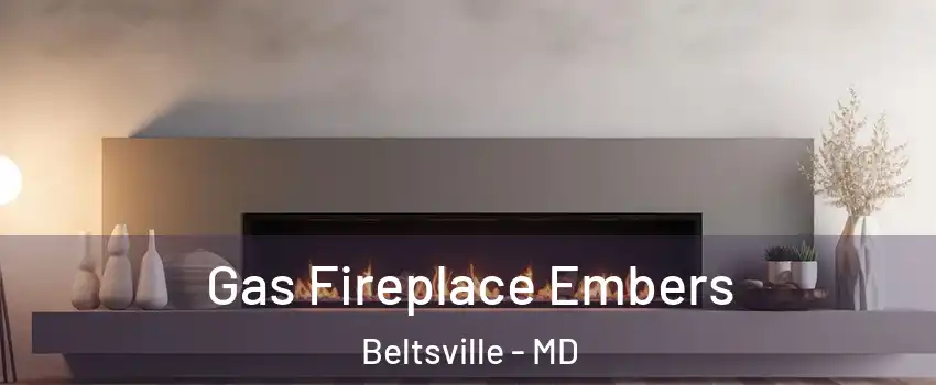  Gas Fireplace Embers Beltsville - MD