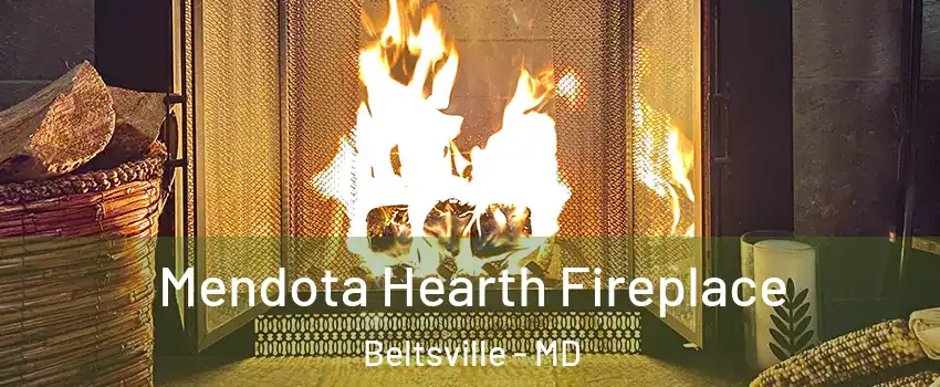  Mendota Hearth Fireplace Beltsville - MD
