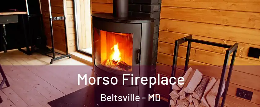  Morso Fireplace Beltsville - MD