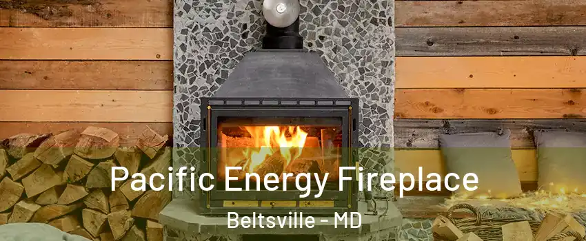  Pacific Energy Fireplace Beltsville - MD